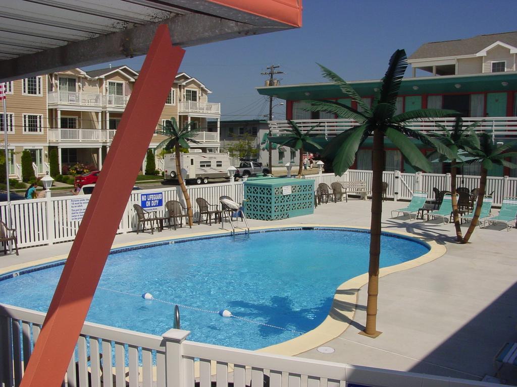Dolphin Wildwood